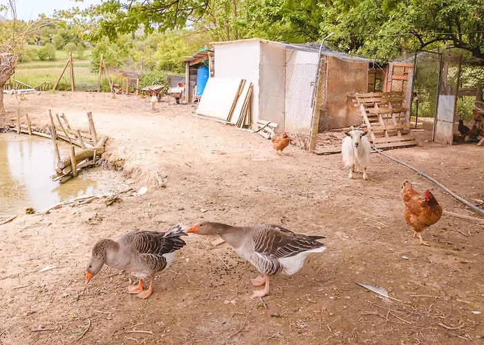 Il Cerretello - Tuscan Experience Lucignano